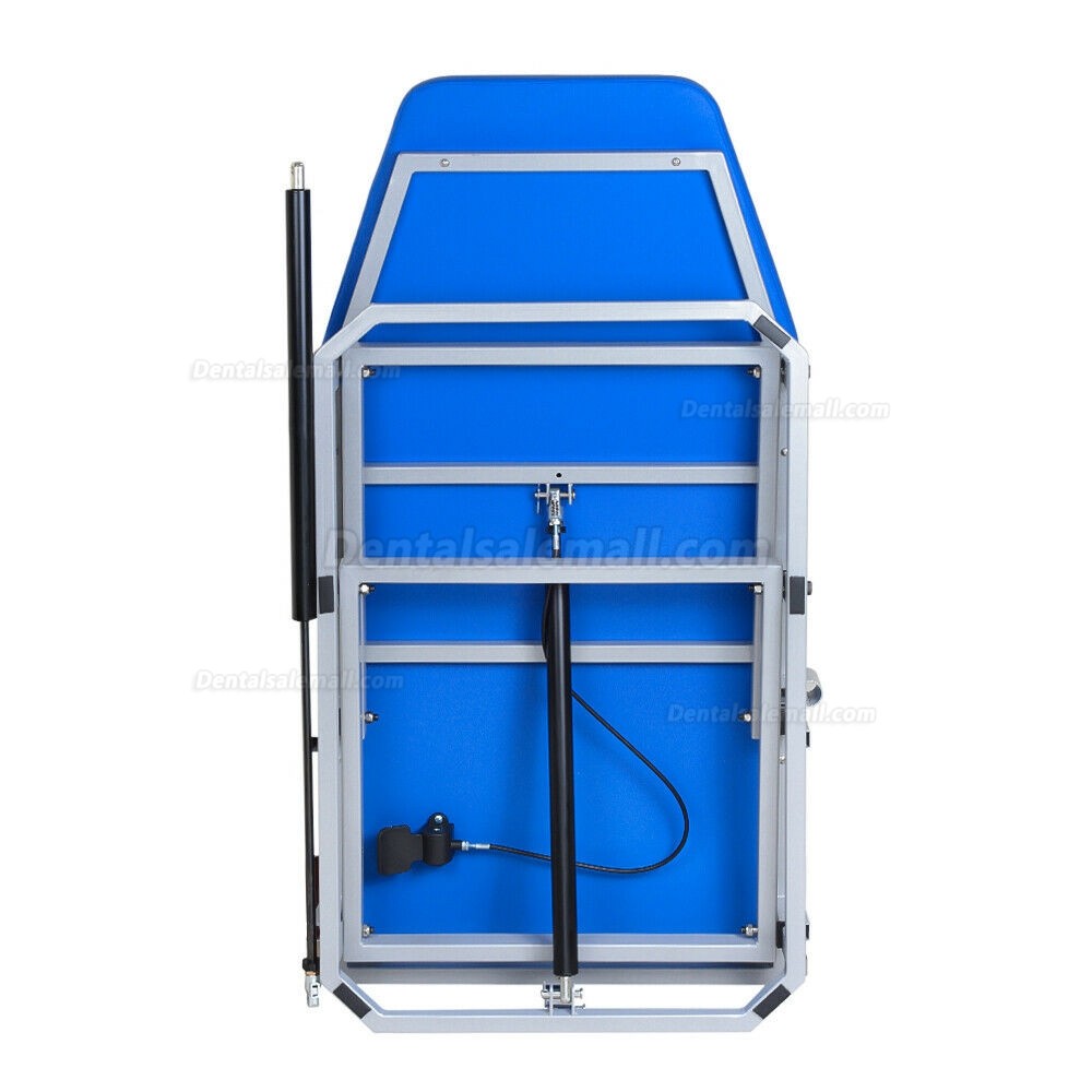 Greeloy Upgrated Portable Folding Chair with LED Cold Light and Instrument Tray Full Set GU-P109